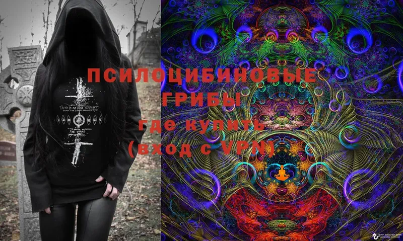 Галлюциногенные грибы Magic Shrooms  KRAKEN зеркало  Болохово 